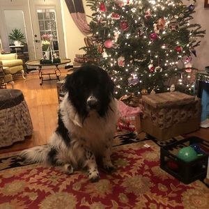 Meet your Posher, Sofia